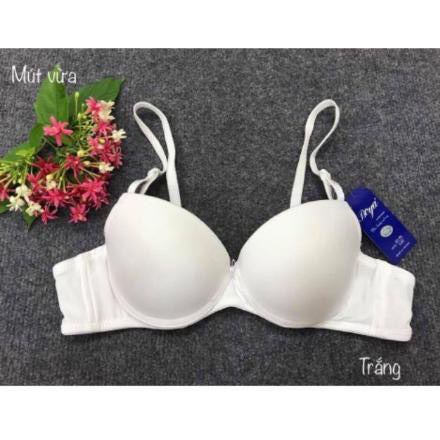 Áo ngực đệm mút dày vừa có gọng hàng việt nam xuất khẩu Lót SAM SAM nâng ngực tạo khe.