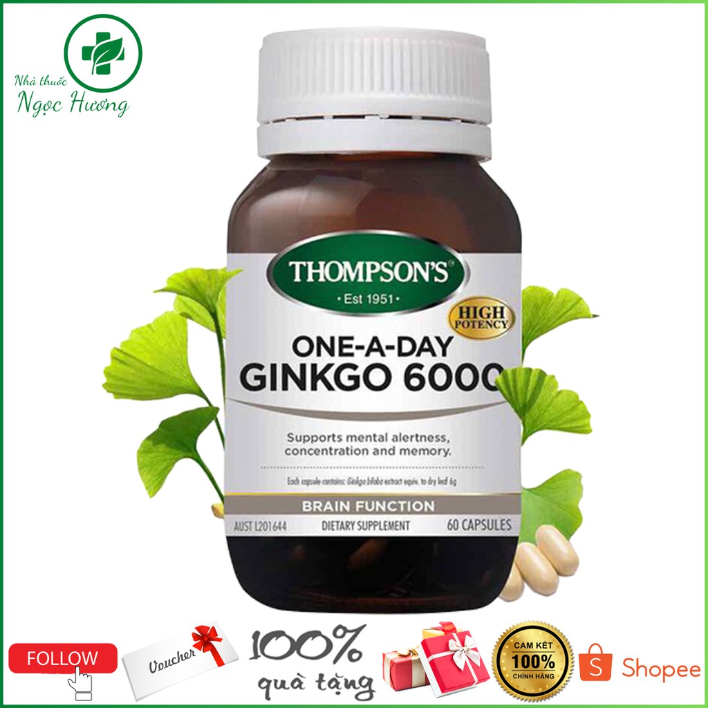 Thompson Ginkgo 6000 60 viên - Viên uống bổ não