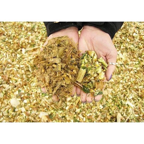 💥CHÍNH HÃNG💥REBIO- MULTI 6 - 1kg Chuyên ủ thức ăn thô xanh cho động vật ăn cỏ