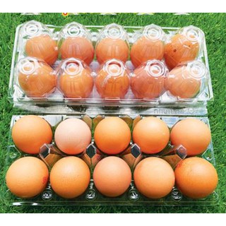 Trứng gà tươi vĩ 10 trứng