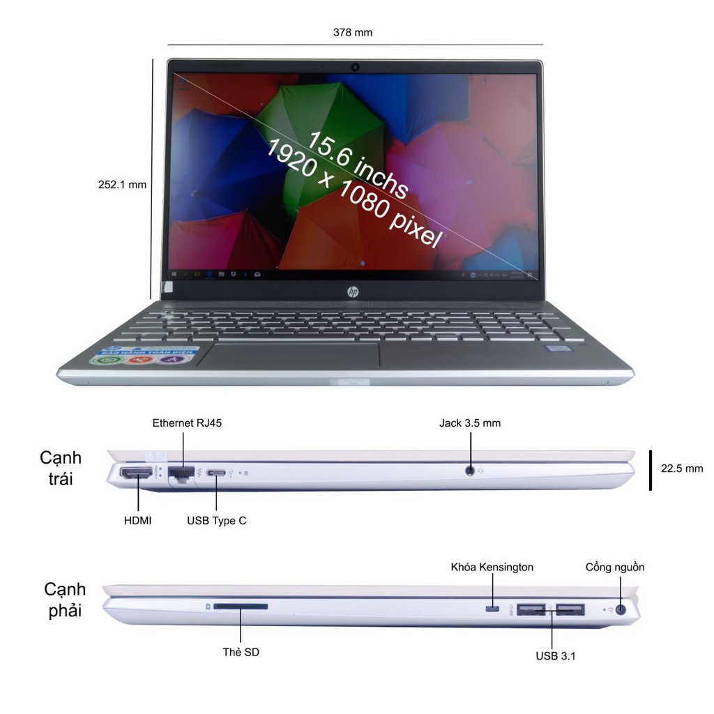 Laptop HP Pavilion 15-cs0101TX (4SQ47PA) (15.6"/i5-8250U 1.6 GHz - 3.4 GHz/4GB RAM/1TB HDD/NVIDIA GeForce MX130 2GB/Wind | BigBuy360 - bigbuy360.vn