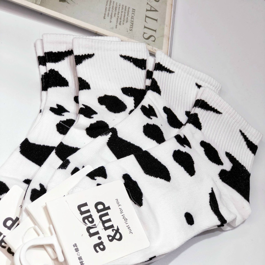 Vớ cổ cao bò sữa hàng cao cấp - chất dày sợi dệt 100% cotton