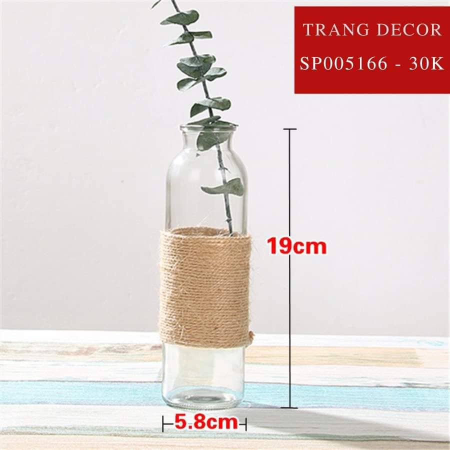 Bình thuỷ tinh cuận dây decor