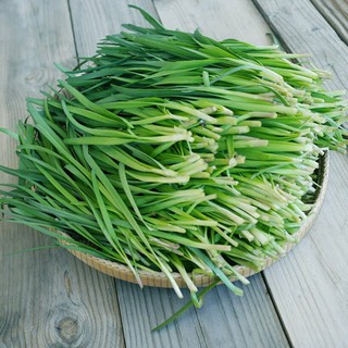 Bộ 1 hạt giống hẹ lá