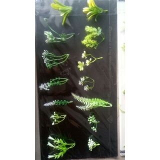 100 gram cỏ điểm