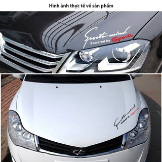 Tem dán thể thao mui xe Sport Mind D-128