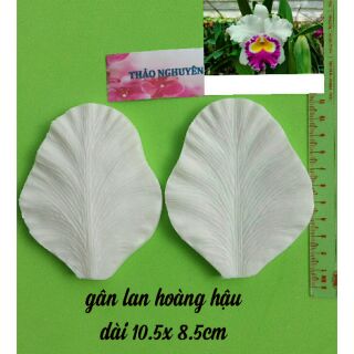 Gân hoa đa năng dùng cho nhiều loại hoa, lan hoàng hậu