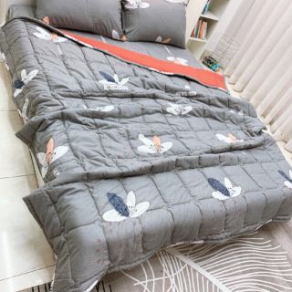 Bộ chăn ga gối cotton đũi