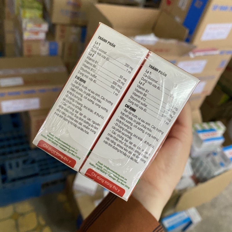 Hỗ trợ bại liệt cho thú cưng