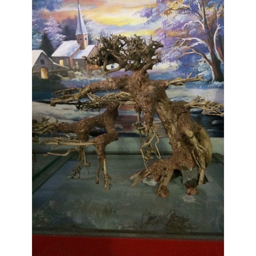Lũa Bonsai Mini Trang Trí Bể Cá - Bể Thủy Sinh