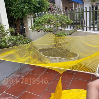 Vó bắt cá kéo tôm cua lưới cất mau kênh rạch khe suối