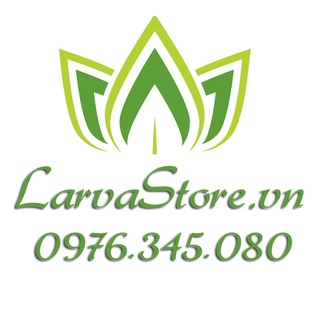 LarvaStore.vn