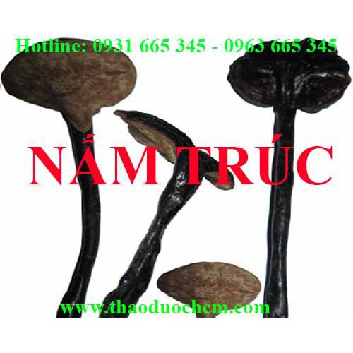 Nấm Trúc Khô 500gr Hàng Tự Nhiên 100% - Thảo Dược Thanh Bình