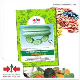 1 gói 10g hạt dưa leo hunter 1.0 của east-west seed