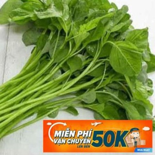 20g Hạt giống Rau Dền xanh