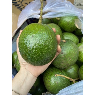 4kg Bơ Bôt Siêu Dẻo (size 3-4trái 1kg)