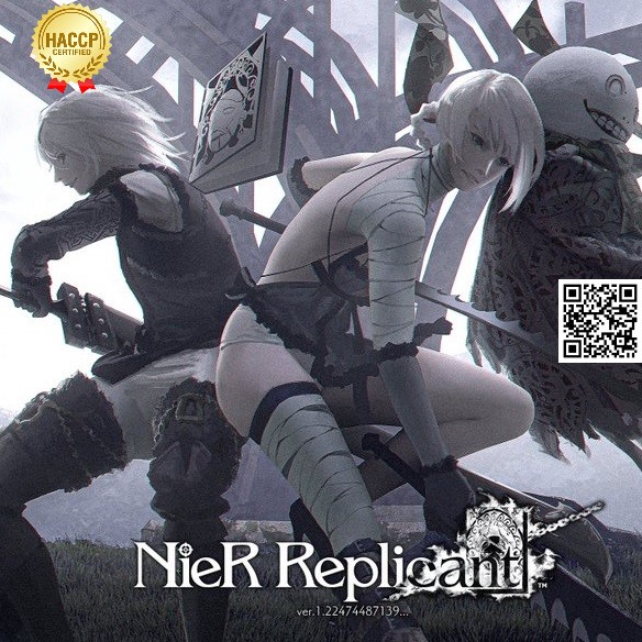 1707 Mô hình khớp nữ trong game NieR Replicant PS4 Playstation 4
