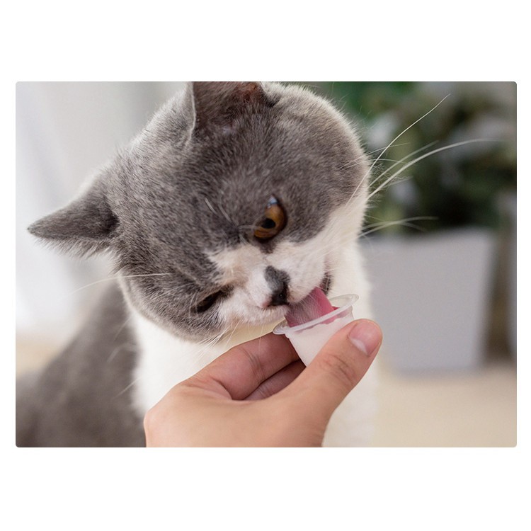 Thạch Pudding Sữa Dê Bổ Sung Canxi, Tăng Probiotic Cho Mèo SUPERPETS VIỆT NAM