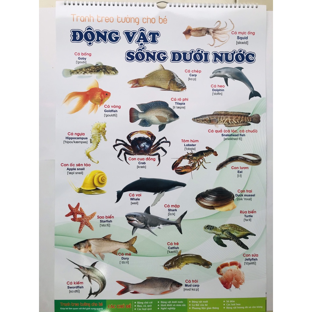 Sách - Tranh treo tường Nam Hải cho bé từ 3 tuổi