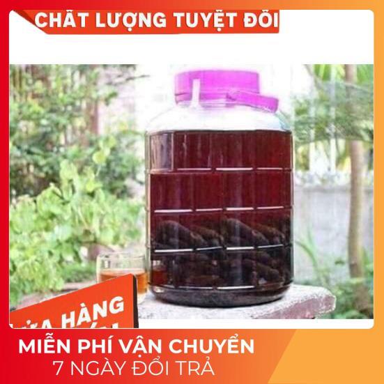 (Dược Liệu Quý) 1kg Quả chuối hột rừng Tây nguyên 🍀FREESHIP🍀Nguyên Quả Phơi Khô Tự Nhiên Chuẩn 100% | WebRaoVat - webraovat.net.vn