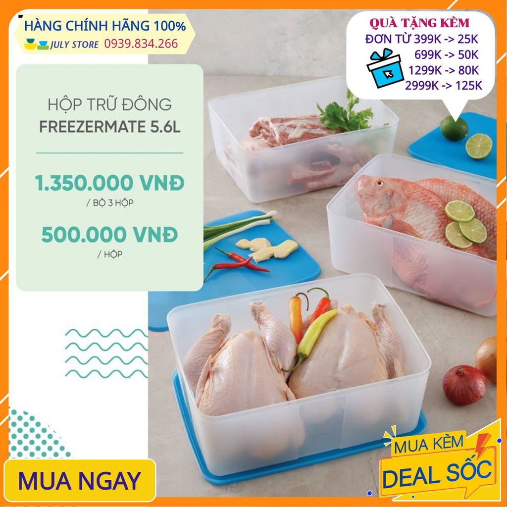 Hộp bảo quản Tupperware FreeshipHộp trữ đông cực đại 5.6L