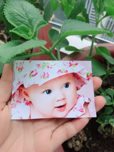 In ảnh size 8:12 tặng kèm album siêu đẹp siêu nét