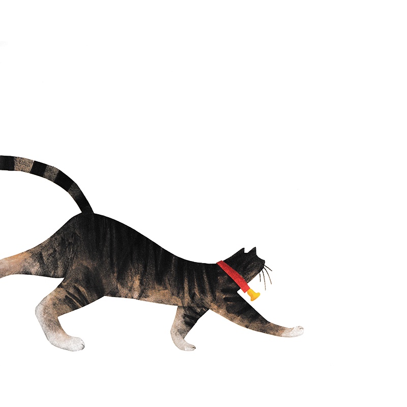 Sách - Ai Cũng Nhìn Thấy Chú Mèo – They All Saw A Cat