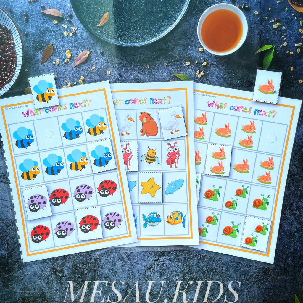 Học Liệu Bóc Dán Montessori MESAUKIDS Đồ Chơi Giáo Dục Đồ Chơi Phát Triển Trí Tuệ Thông Minh Cho Bé Nhiều Chủ Đề