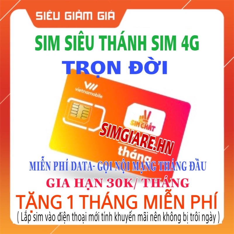 Siêu Thánh Sim Vietnamobile