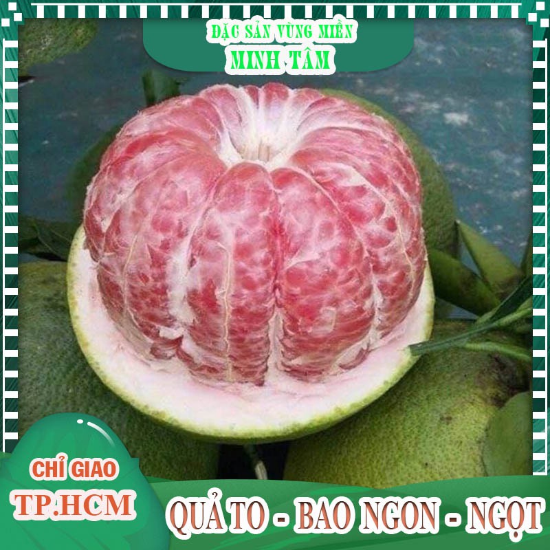 Bưởi da xanh ruột đỏ ngon ngọt bao ăn trái từ 1-1,5 kí [CHỈ GIAO TPHCM]