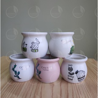 Chậu vò mini - Chậu trồng cây để bàn mini, phong thủy, cây nội thất