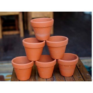 Combo 10 chậu đất nung size 8cm