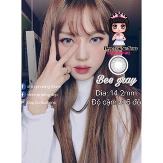 Lens vassen tây Bee gray có độ cận