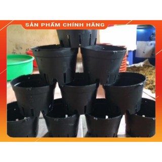 2 chậu nhựa đen F18.