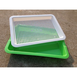 Khay nhựa trồng rau mầm chuyên dụng