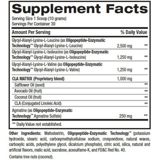 [SALE KHỦNG]  RECOVERY KIT