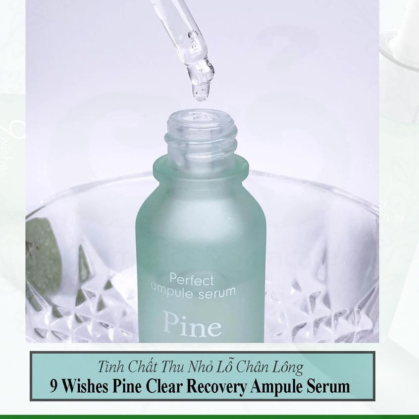 Tinh Chất 9 Wishes Từ Lá Thông Dưỡng Ẩm Thu Nhỏ Lỗ Chân Lông 9 Wishes Pine Clear Recovery Ampule Serum 25ml