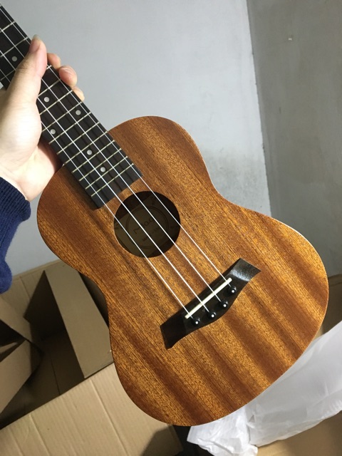 (RẺ VÔ ĐỊCH) ĐÀN UKULELE CONCERT GỖ ĐẬM