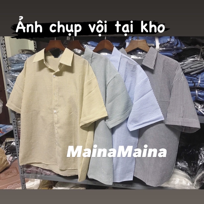 Áo sơ mi kẻ dáng basic tông màu nhẹ