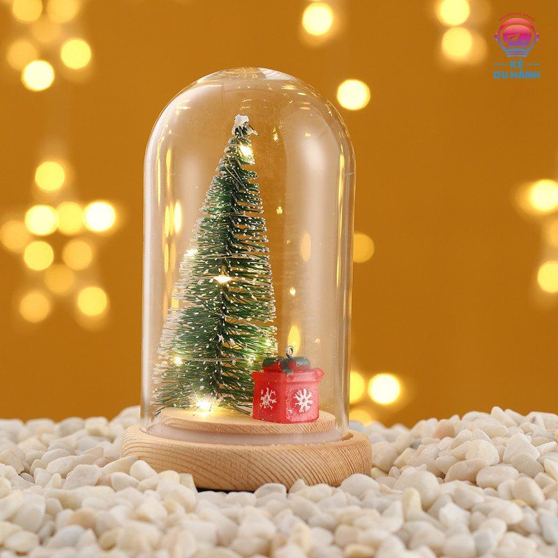 Cây thông lồng thủy tinh - Trang trí giáng sinh Noel, quà tặng - Kẻ Du Hành