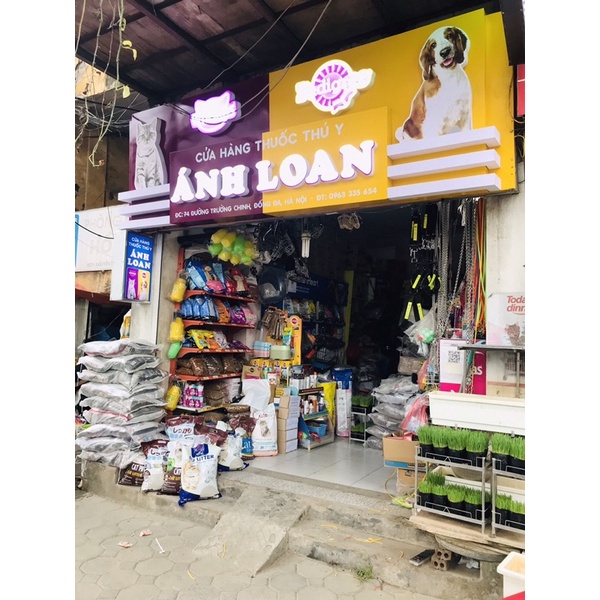 Dầu diệt mối tận gốc Sifa