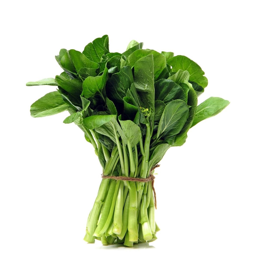 Hạt giống rau cải ngồng (cải ngọt ăn bông) - rau củ quả trồng chậu, vườn dễ chăm sóc tỉ lệ nảy mầm cao 10gr KABUTTO 117
