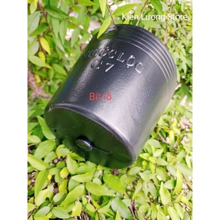 Chậu nhựa đen C7 Bít Lỗ