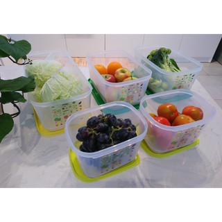 Bộ hộp trữ mát Tupperware Vensmart