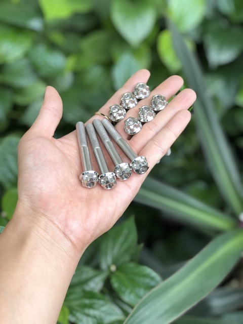 Ốc inox Salaya  8li6  - gắn gác chân phải winner