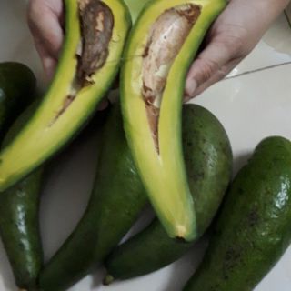 Bơ đăk lăk  nữ hoàng bơ 034 60k