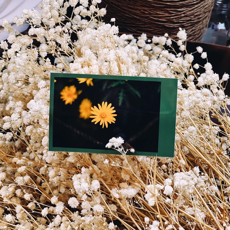 In Ảnh POLAROID 6x9 Theo Yêu Cầu Khung Màu Xanh Lá Đậm - Kèm Cán Màng Bảo Vệ - NOMAD GARDEN