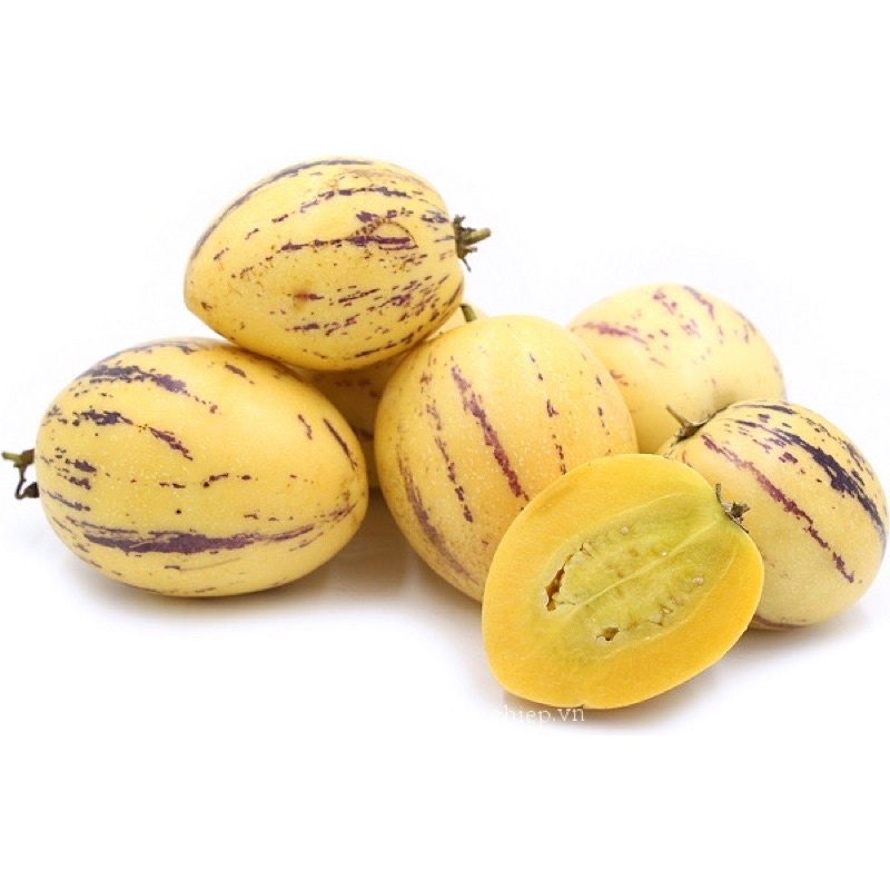 Hạt Giống Dưa Pepino siêu quả, siêu ngọt F1