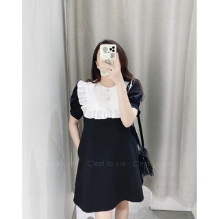 Váy đen cổ bèo trắng cúc đá
