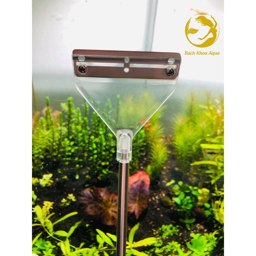 Bộ dao cạo rêu Inox cao cấp vệ sinh hồ cá